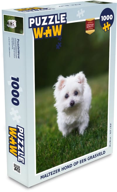 Puzzel Maltezer hond op een grasveld - Legpuzzel - Puzzel 1000 stukjes volwassenen