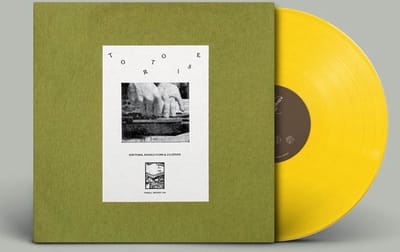 Tortoise - Rhythms, Resolutions & Clusters (LP) (Coloured Vinyl) (Limited Edition)