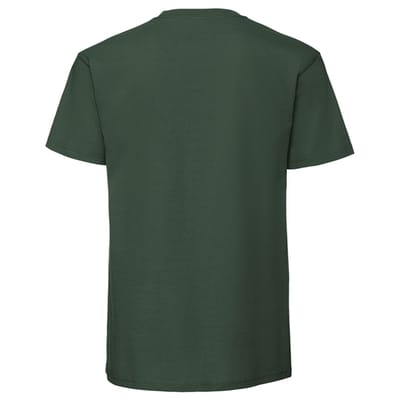 Fruit of the Loom Unisex volwassen iconisch 195 T-shirt (Fles groen)