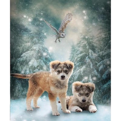 Décoration d'intérieur DIY Broderie Diamant 5D  Deux chiens  Kit Point de Croix Artisanat Peinture à l'huile Abstraite 20X30CM white
