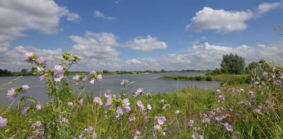 Fotobehang rivier de Lek bij Lexmond 250 x 260 cm - € 175,--