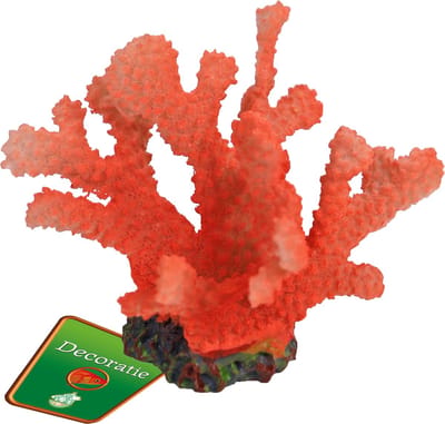 De Boon Rode Bloem 13X10CM