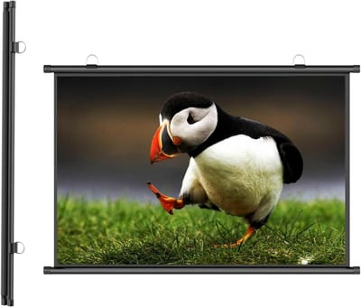 Projectiescherm - Uitschuifbaar Scherm - Films Kijken - Handmatige Bediening - 30-72 Inch - Zwart