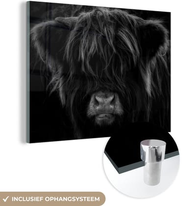 MuchoWow® Glasschilderij 160x120 cm - Schilderij acrylglas - Schotse Hooglander - Koe - Portret - Dieren - Zwart - Wit - Foto op glas - Schilderijen