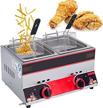 Dubbele Gasfriteuse - Commerciële Friteuse - Professioneel Frituren - Grote Capaciteit - 22L - Zilver