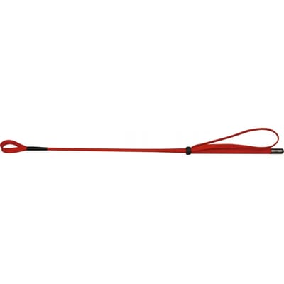Paardrij zweep Whip & Go