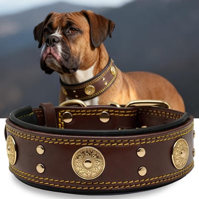 Halsband van leer, 5 cm breed, robuuste echt leren halsband, handgemaakt, zacht en luxe, opvallende beste keuze voor grote en middelgrote hondenrassen, goudbruin, S