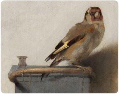 Muismat , Carel Fabritius, Het Puttertje