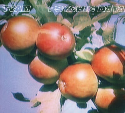 Psychic Data - Tvam