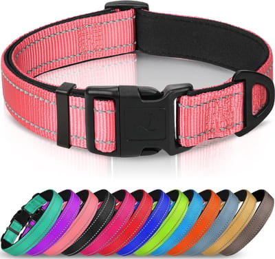 Reflecterende Verstelbare Hondenhalsband met Neopreen Vulling - Veiligheidskraag voor Kleine Honden - Roze
