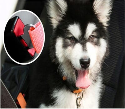 Auto Gordel Hond- Auto Riem Hond - Veiligheidsriem Hond - Hondengordel Zwart - Auto Gordel Kat - Veiligheidsriem Dieren