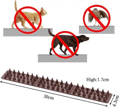 vogelafweer / vogelafweer / duivenafweer, kattenspikes, duivenbescherming, vogelbescherming, spikes,12m