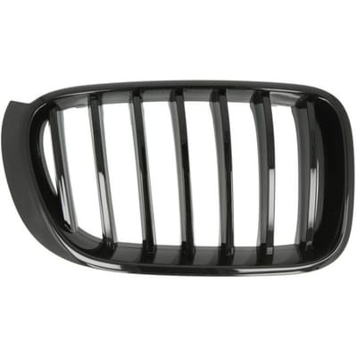 Ventilatiegrille, bumper BLIC 6502-07-00939988P