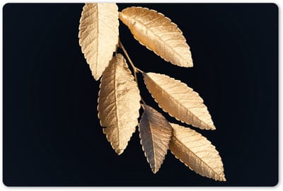 Placemats 45x30 cm - Placemat kunststof - 1 stuk - Bladeren - Zwart - Goud - Luxe - Planten - Borden onderleggers - Decoratie voor op tafel - Keuken tafeldecoratie accessoires - Vinyl onderlegger - Tafelversiering