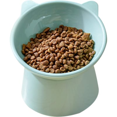 Kattenvoerbak Verhoogd Schuin Opgesteld Makkelijk Schoon te Maken Huisdieren Voederbak Waterbak voor Kleine Honden Green