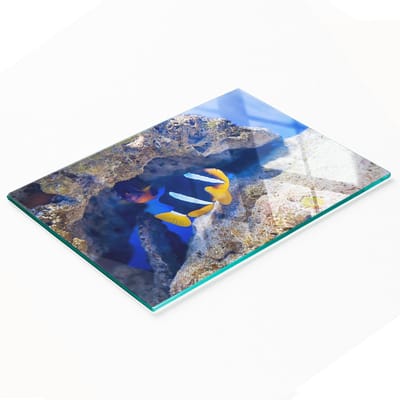 Multifunctionele decoratieve glazen snijplank voor de keuken met tropische vissen, 80x52 cm