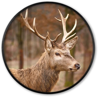Poster in lijst Rond - Fotolijst 60x60 cm - Posters - Hert - Dier - Bos - Herfst - Hertenkop - Bruin - Natuur - Ronde posterlijst zwart - Decoratie - Wanddecoratie woonkamer - Muurdecoratie slaapkamer
