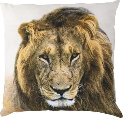 Sierkussen - Leeuw - Wit En Bruin - 50 Cm X 50 Cm