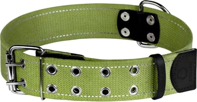WAUDOG Canvas Halsband / Hondenhalsband - Katoen - Groen - Reflecterend - XL - Breedte: 45 mm - Nekomtrek: 58 - 73 cm (GELIEVE ALVORENS BESTELLEN OPMETEN)