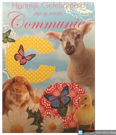 5 Luxe 3 delige Uitklap Communie Wenskaarten - Kaart Wens Kaart Communie Plechtig Kerk Christelijk - Communion Kommunion - Eerste Communie - Meisje Jongen - 16.2 (50.5cm)x11.5cm - Dieren - Met Envelop - Art of Cards