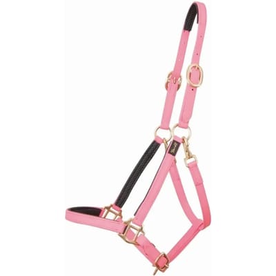 Halster voor paarden T de T Biotack®