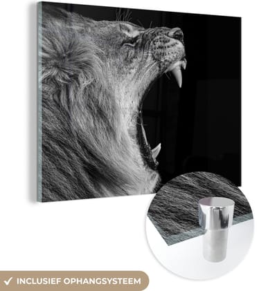 Glasschilderij - Dieren - Leeuw - Natuur - Zwart-wit - Acrylglas - Foto op glas - Schilderijen woonkamer - 160x120 cm - Schilderij leeuw - Wanddecoratie glas - Muurdecoratie