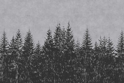 Fotobehang black forest 3 DD110521 Livingwalls Walls by Patel | 3D Fotobehang op maat