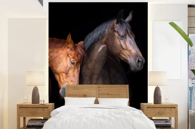 Behang kinderkamer - Fotobehang Paarden - Dieren - Portret - Bruin - Breedte 175 cm x hoogte 240 cm - Kinderbehang