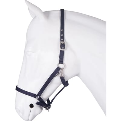 Halsband voor paard basis HORKA