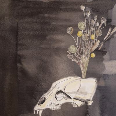 Steve Gunn & Black Twig Pickers - Seasonal Hire (CD)
