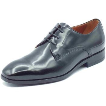 Nette Schoenen NeroGiardini E500572UE Wembley