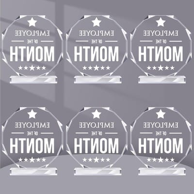 Acryl Awards - Waarderingsgeschenken - Werknemer erkenning - Set van 6 stuks - 12 x 13 cm - Transparant
