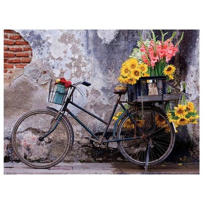 Peinture diamant vélo tournesol, broderie par numéros, strass, icône, broderie complète 20X30CM gray