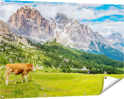 Gards Tuinposter Bruine Koe in de Wei in de Bergen - 120x80 cm - Tuindoek - Tuindecoratie - Wanddecoratie buiten - Tuinschilderij