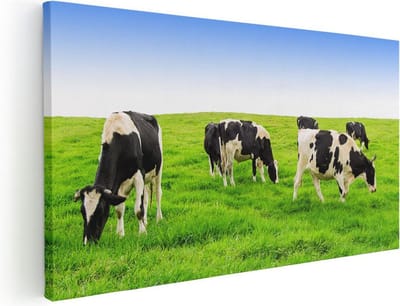 Artaza Canvas Schilderij Koeien - 40x20 cm - Klein - Wanddecoratie Weiland - Muurdecoratie Dieren - Canvas Schilderijen Woonkamer