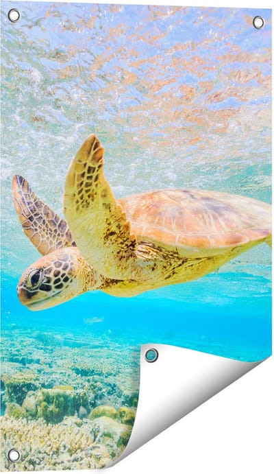 Gards Tuinposter Schildpad Zwemt in de Zee bij het Rif - 40x60 cm - Tuindoek - Tuindecoratie - Wanddecoratie buiten - Tuinschilderij
