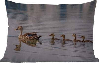 Buitenkussens - Tuin - Eend - Water - Vogel - Bruin - 50x30 cm