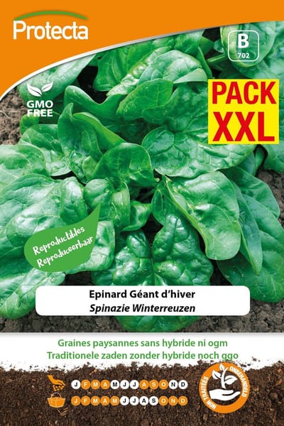 Protecta Groente zaden: Spinazie Winterreuzen XXL