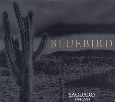 Saguaro (1995-2003)
