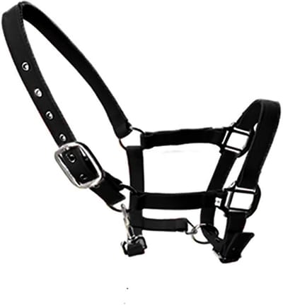 Dailygoods- Hoofdband Verstelbaar - Paardenprint - Gewatteerd - Nylon - Voor Veulen/Pony/Ezel - Duurzaam en Flexibel - Paardenhalsband