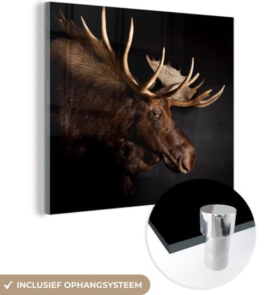 MuchoWow® Glasschilderij 50x50 cm - Schilderij acrylglas - Eland - Gewei - Portret - Foto op glas - Schilderijen