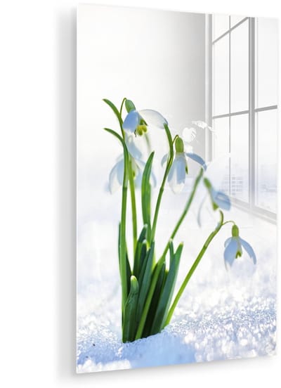® Glasschilderij 120x180 cm - Schilderij acrylglas - Witte sneeuwklokjes in de witte sneeuw - Foto op glas - Muurdecoratie woonkamer - Wanddecoratie slaapkamer - Schilderijen