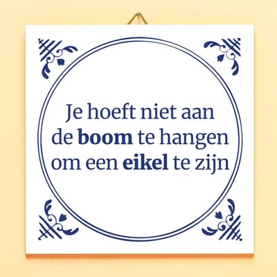 Tegeltje Eikel van Ditverzinjeniet
