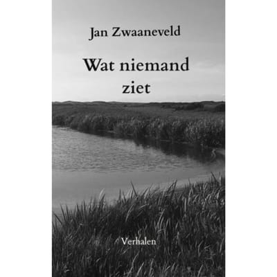 Wat Niemand Ziet - Jan Zwaaneveld