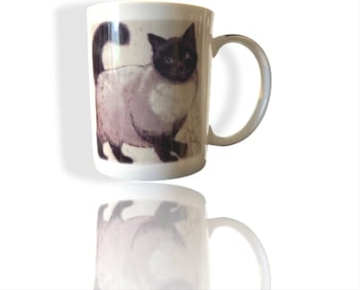 Madame chai - katten mok - Mokken - bijzondere mok - katten beker - katten - whiskers - chacult - thee katten beker
