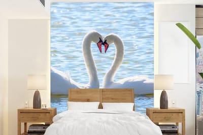 Behang - Fotobehang Vogels - Zwaan - Water - Liefde - Zon - Breedte 165 cm x hoogte 220 cm