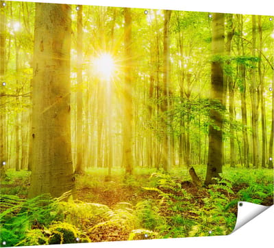 Gards Tuinposter Groen Bos met Schijnende Zonnestralen - 160x120 cm - Tuindoek - Tuindecoratie - Wanddecoratie buiten - Tuinschilderij