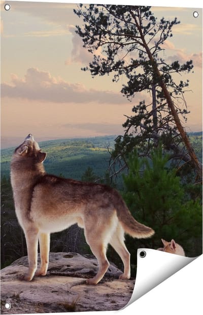 Gards Tuinposter Drie Wolven op een Rots in het Bos - 60x80 cm - Tuindoek - Tuindecoratie - Wanddecoratie buiten - Tuinschilderij
