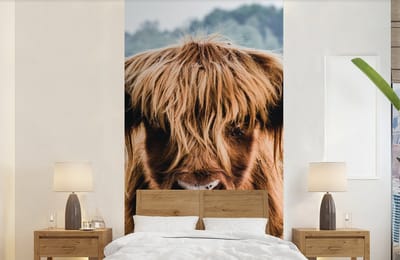Behang - Fotobehang Koeien - Schotse hooglander - Bruin - Natuur - Breedte 120 cm x hoogte 240 cm