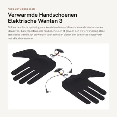 Dailygoods - Verwarmde Handschoenen - Elektrische Wanten - 3 Verstelbare Verhitstanden - Winter - Oplaadbaar - Dames - 2 Stuks
